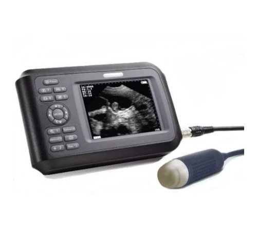Acuvista VT880n Acuvista VT880n