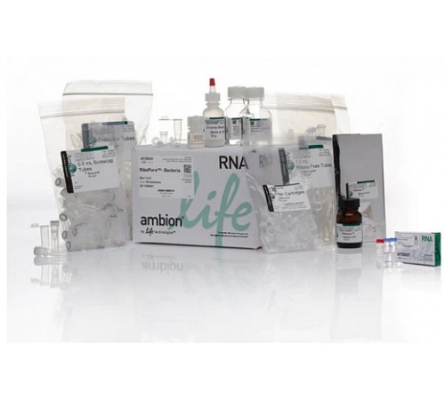 Набор RiboPure RNA Purification Kit, bacteria, Thermo FS Набор RiboPure RNA Purification Kit, bacteria, Thermo FS