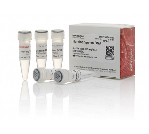 Раствор ДНК спермы сельди/Herring Sperm DNA Solution, UltraPure, Thermo FS Раствор ДНК спермы сельди/Herring Sperm DNA Solution, UltraPure, Thermo FS