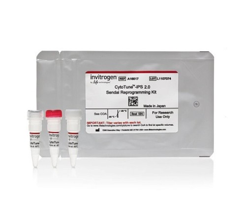 Набор для репрограммирования клеток, CytoTune iPS 2.0 Sendai Reprogramming Kit, Thermo FS Набор для репрограммирования клеток, CytoTune iPS 2.0 Sendai Reprogramming Kit, Thermo FS