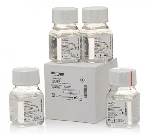 Натрий додецилсульфат (SDS), UltraPure, раствор 10%, Thermo FS Натрий додецилсульфат (SDS), UltraPure, раствор 10%, Thermo FS
