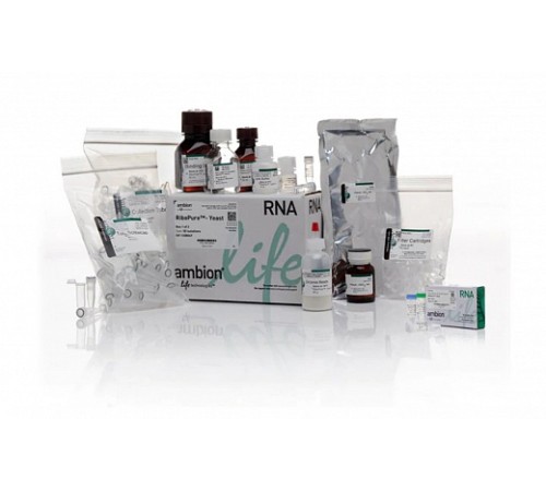 Набор RiboPure RNA Purification Kit, yeast, Thermo FS Набор RiboPure RNA Purification Kit, yeast, Thermo FS