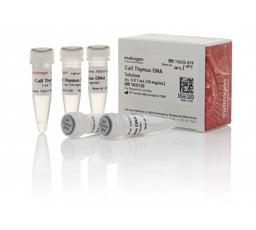 Раствор ДНК тимуса теленка/ Calf Thymus DNA Solution, UltraPure, Thermo FS Раствор ДНК тимуса теленка/ Calf Thymus DNA Solution, UltraPure, Thermo FS