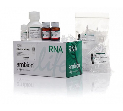 Набор RiboPure RNA Purification Ki, Thermo FS Набор RiboPure RNA Purification Ki, Thermo FS