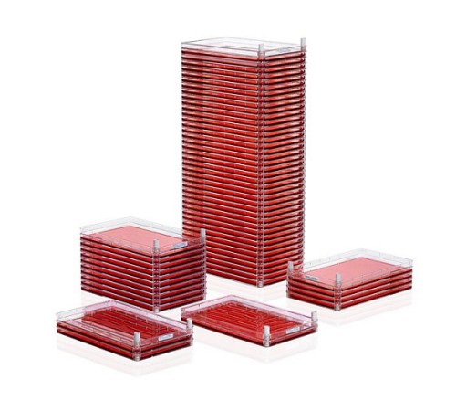 Флаконы Cell Factory, 10-уровневые, Nunclon Delta, 6320 см, 1 шт/уп, 2 шт/кор, Thermo FS Флаконы Cell Factory, 10-уровневые, Nunclon Delta, 6320 см, 1 шт/уп, 2 шт/кор, Thermo FS